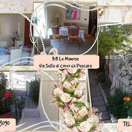 Le Mimose Bed & Breakfast Pescara Exterior foto